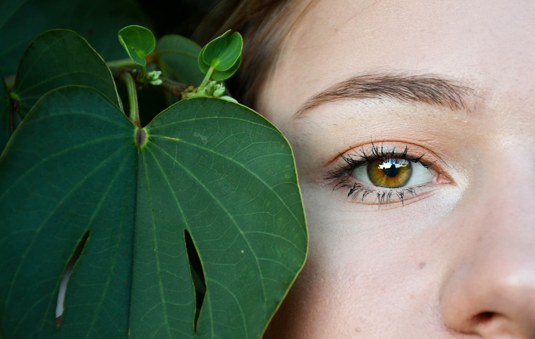 How To Use Gotu Kola For Skin?