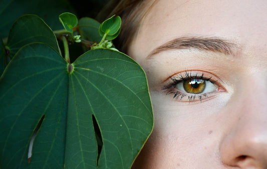 How To Use Gotu Kola For Skin?