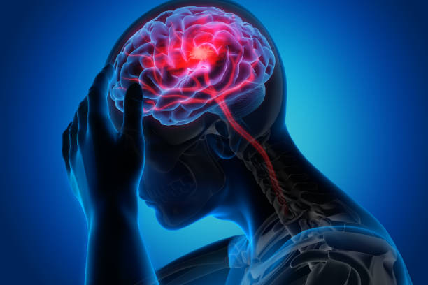 Discover the Remarkable Benefits of Gotu Kola for the Brain