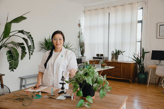 Why Experts Use Gotu Kola For Hair Loss?