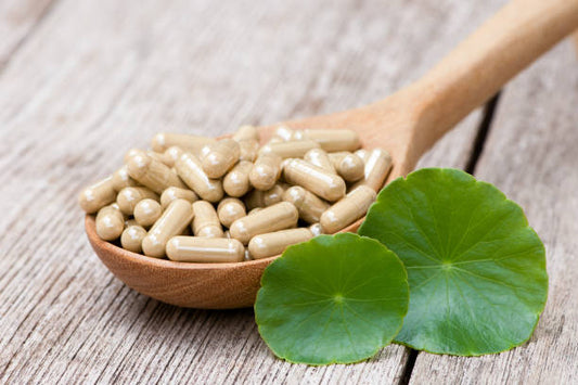 The Wonders of Gotu Kola Capsules: A Scientific Overview 